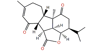 Pavidolide B